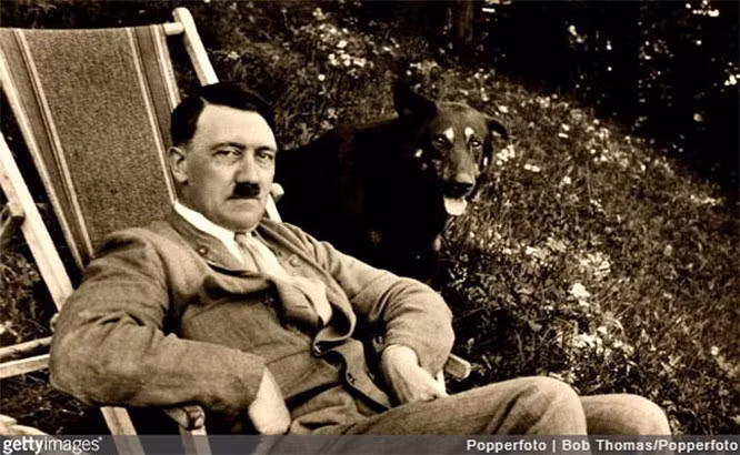  7. Hitler là người ăn chay: Hitler yêu động vật và đã chống lại thử nghiệm trên chúng. Hắn từng nhắc đến việc ăn chay trong nhật ký cá nhân của mình nhiều lần, và hậm chí còn nghĩ đến việc giới thiệu ăn chay như một ý thức hệ chính thức sau chiến tranh. Hitler đã bày tỏ ý tưởng này trong một cuộc trò chuyện với Goebbels.