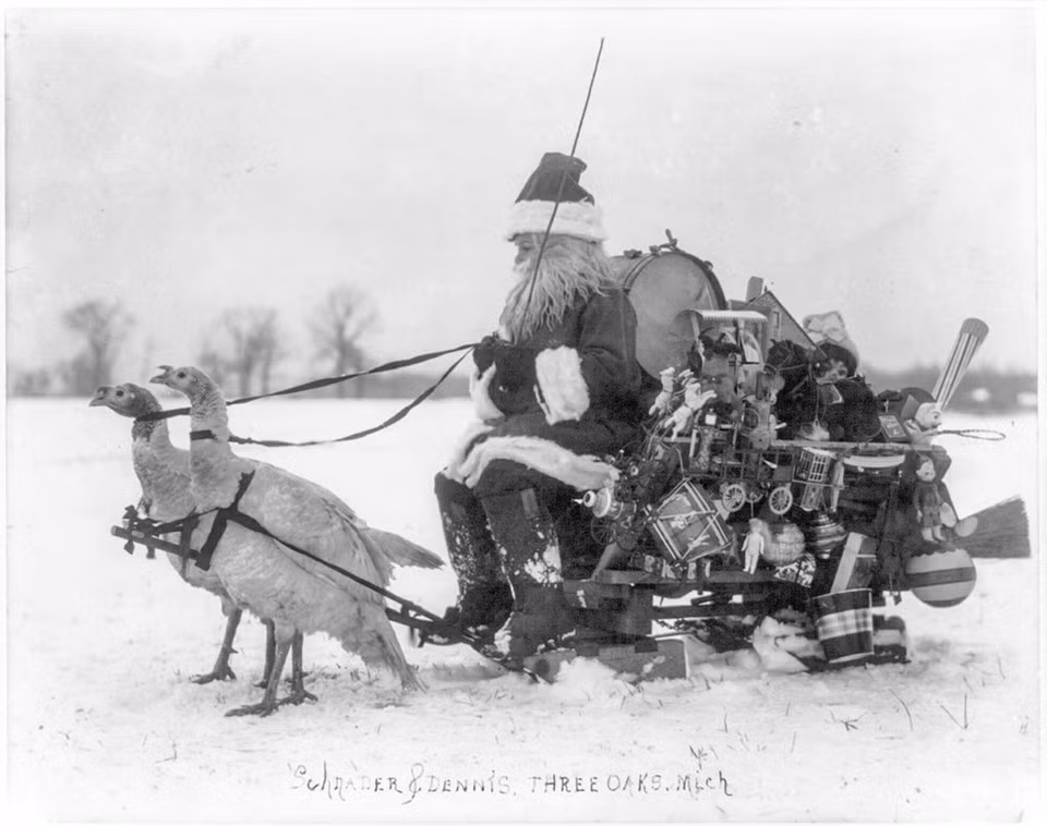 Vào năm 1909, những chú gà tây trắng sẽ thay tuần lộc đảm nhận nhiệm vụ chở ông già Noel mang những món quà xinh xắn đến cho các bạn nhỏ trong đêm Giáng sinh. Ảnh: Library of Congress.