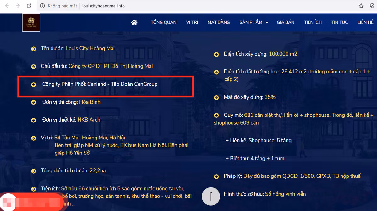 CenLand “bat tay” Cty con TD La Vong ban Louis City Hoang Mai tren bai dat trong?-Hinh-4