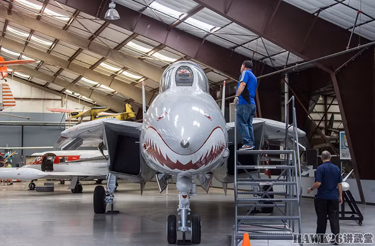 F-14 cũng là một trong những dòng chiến đấu cơ sở hữu thiết kế cánh cụp cánh xèo của Quân đội Mỹ được vào trang bị từ năm 1972 để thay thế cho những chiếc F-4 Phantom II đã lỗi thời. Từ đó cho đến khi được nghỉ hưu F-14 là dòng tiêm kích trên hạm chủ lực của Hải quân Mỹ.