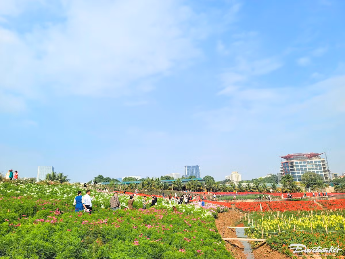 Thung lung hoa Ho Tay hut du khach 'check in' trong ngay Tet Duong lich