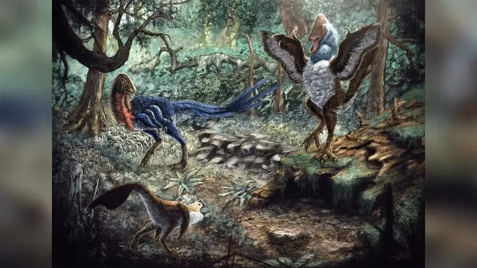 Một loài quái thú mới, được đặt tên là "Eoneophron infernalis" với biệt danh bí hiểm là "con gà bình minh từ địa ngục của pharaoh", vừa được phát hiện thông qua việc mua các mẫu hóa thạch trên mạng bởi Kyle Atkins-Weltman, một nghiên cứu sinh tại Đại học bang Oklahoma.