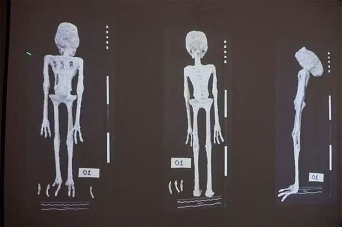Xác ướp người ngoài hành tinh gây tranh cãi này được phát hiện ở sân bay Lima vào tháng 10/2023.