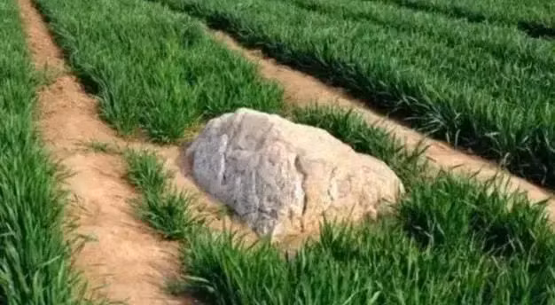 Mặc dù nó trông nhỏ bé và bình thường, nhưng núi Tĩnh thực sự có phần thân sâu dưới lòng đất, chỉ có đỉnh lộ ra.