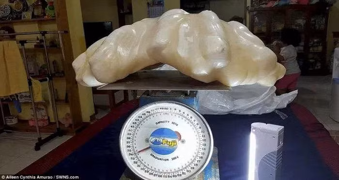 Với giá trị gần 100 triệu USD (khoảng 2.400 tỷ đồng).