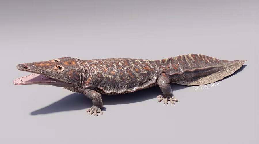 Kwatisuchus rosai có hình dạng giống cá sấu nhưng có da trơn và đuôi bốn cạnh, là một loài thủy quái lưỡng cư của kỷ Tam Điệp.