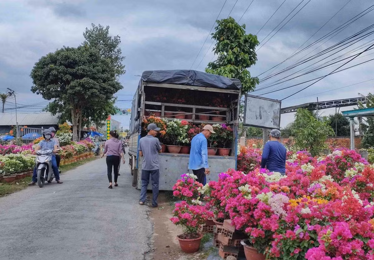 Hoa giấy được vận chuyển bằng xe tải, phục vụ người dân chưng Tết. Ảnh: Đỗ Minh Tân