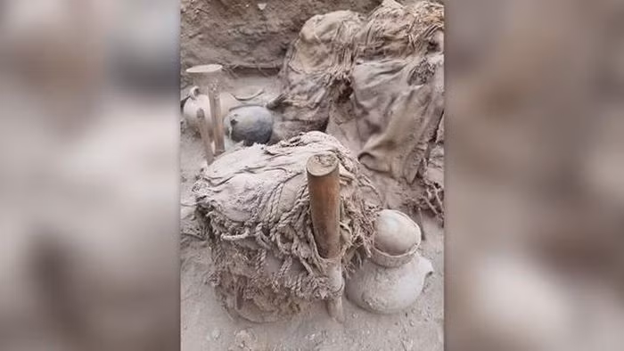 Các nhà khảo cổ ở Peru đã khai quật thành công ngôi mộ cổ của ít nhất 73 người thuộc nền văn hóa Wari, có niên đại khoảng 1.000 năm trước.