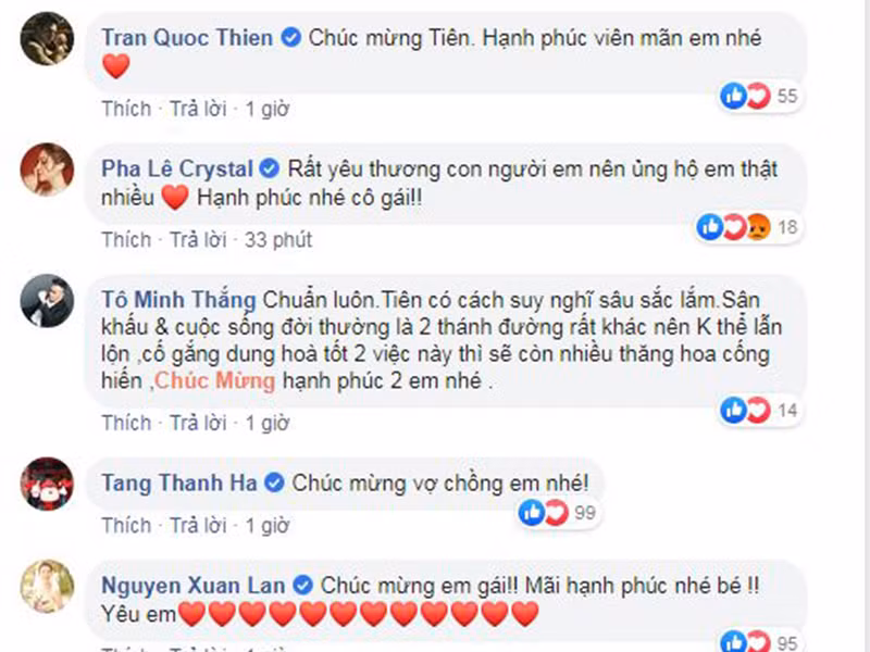 Động thái tổ chức đám cưới bí mật của Tóc Tiên và Hoàng Touliver nhận được sự ủng hộ của không ít đồng nghiệp.