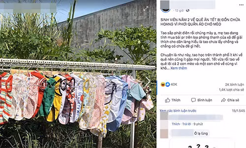 Phoi quan ao cho meo, nu sinh bi ca xom don la “chua hoang”