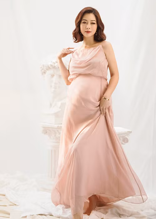 Khi Jennifer Phạm mang thai lần 4, doanh nhân Đức Hải đã yêu cầu cô hạn chế nhận công việc để dưỡng thai.