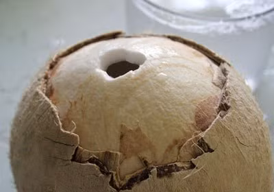 Về hương vị: Đối với nước dừa tươi không bị ngâm bất cứ hóa chất nào sẽ có vị ngọt thanh mát, ngọt nơi đầu lưỡi, cảm thấy khoan khoái, dễ chịu, không có mùi bất thường. Trong khi đó, đối với nước dừa tươi đã bị nhiễm hóa chất khi uống có cảm giác tê đầu lưỡi, có vị nước khó chịu, nồng nhẹ, không cảm nhận được vị ngọt dịu của nước dừa.