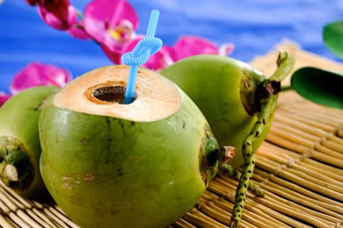Bên cạnh đó, cách tốt nhất để không bị mua nhầm dừa tươi ngâm chất tẩy trắng, bạn nên chọn những trái vẫn còn nguyên vẹn, còn lớp vỏ bên ngoài, chưa bị gọt bỏ hoàn toàn, chỉ được chặt ra khi có nhu cầu. Khi phát hiện nước dừa có mùi lạ tuyệt đối không được sử dụng, nhất là đối với trẻ em.