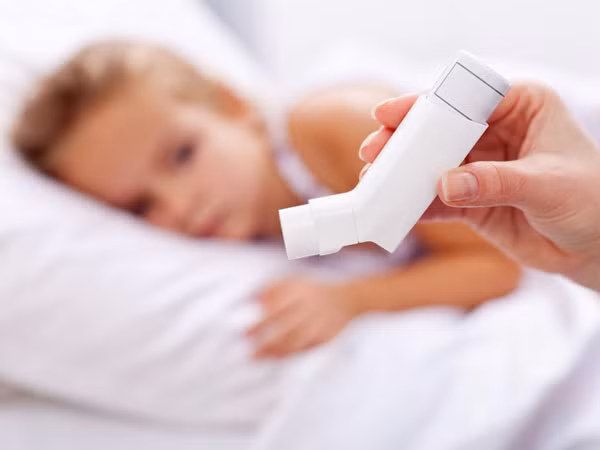 Ngăn ngừa hen suyễn. Lá bạc hà có chứa chất chống oxy hóa được gọi là axit rosmarinic - loại hợp chất hóa học được tìm thấy trong nhiều loại thực vật. Nghiên cứu cho thấy axit rosmarinic giúp làm giảm các triệu chứng dị ứng theo mùa, và được chứng minh có đặc tính kháng viêm.