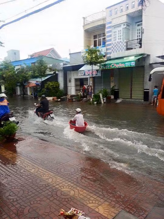 Cảnh người đàn ông "lướt sóng" bằng chậu trở thành một trong những bức ảnh độc trong mưa bão được dân mạng chia sẻ nhiều nhất trong vài ngày gần đây. Bức ảnh nói về sự thích ứng rất nhanh của những người dân lao động với hoàn cảnh thời tiết, đi lại khó khăn.