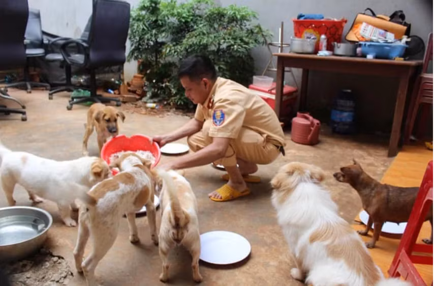 Với tình yêu thương dành cho động vật, hiện tại anh đã cưu mang khoảng 60 con chó, mèo. Dù làm nhiệm vụ của một chiến sỹ CSGT nhưng anh Dương vẫn tranh thủ thời gian để chăm sóc chúng, hoặc đi giải cứu chó mèo ở những nơi khác.