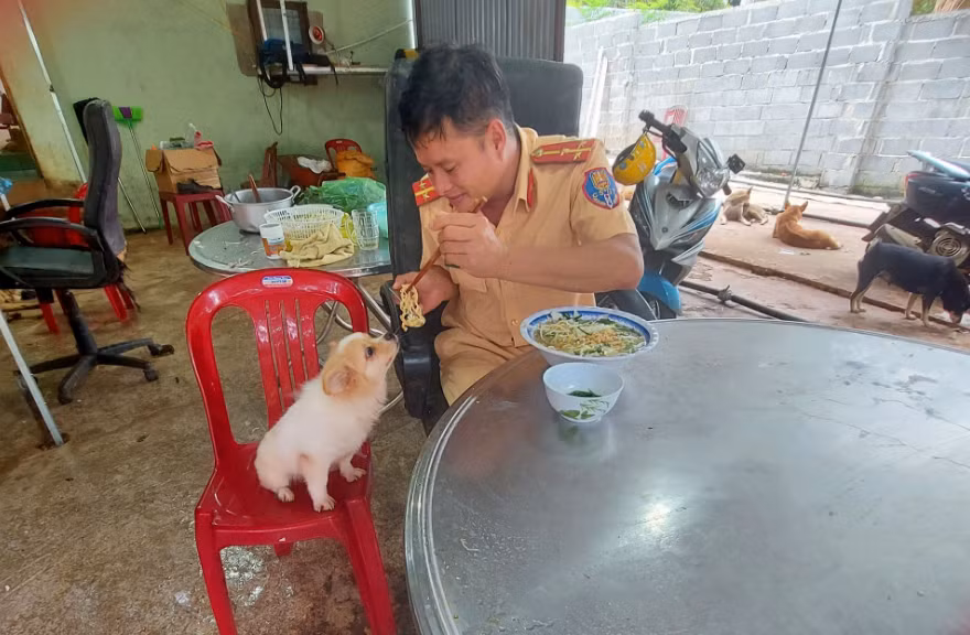 Tới hơn 11h khi đi làm về lại tất bật nấu cháo, đổ thức ăn ra tô cho từng chú một, có những bé mèo hay chó bị liệt, Dương lại đến tận chỗ để bón cơm vào miệng cho chúng. Cuối giờ chiều mọi quy trình lại lặp lại một lần nữa cho tới 2, 3 giờ sáng, chàng trai mới bắt đầu lo cho giấc ngủ của mình.