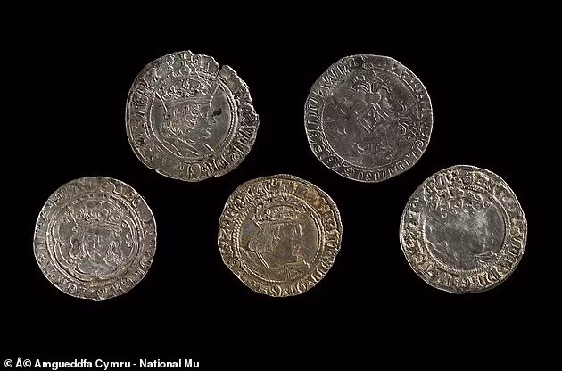 Những đồng xu bằng bạc thuộc triều đại nhà Tudor được tìm thấy ở Churchstoke, Powys. Trên một số đồng bạc có in hình chân dung Vua Henry VIII nổi tiếng nước Anh.