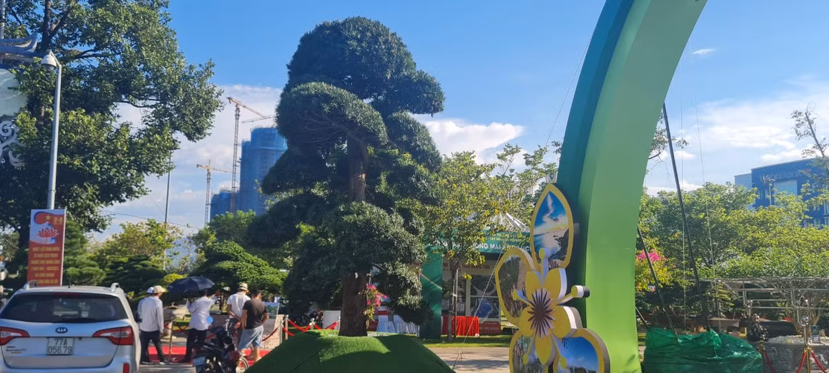 Ngam loai cay “tu quy” khien dai gia chi tien ty san lung