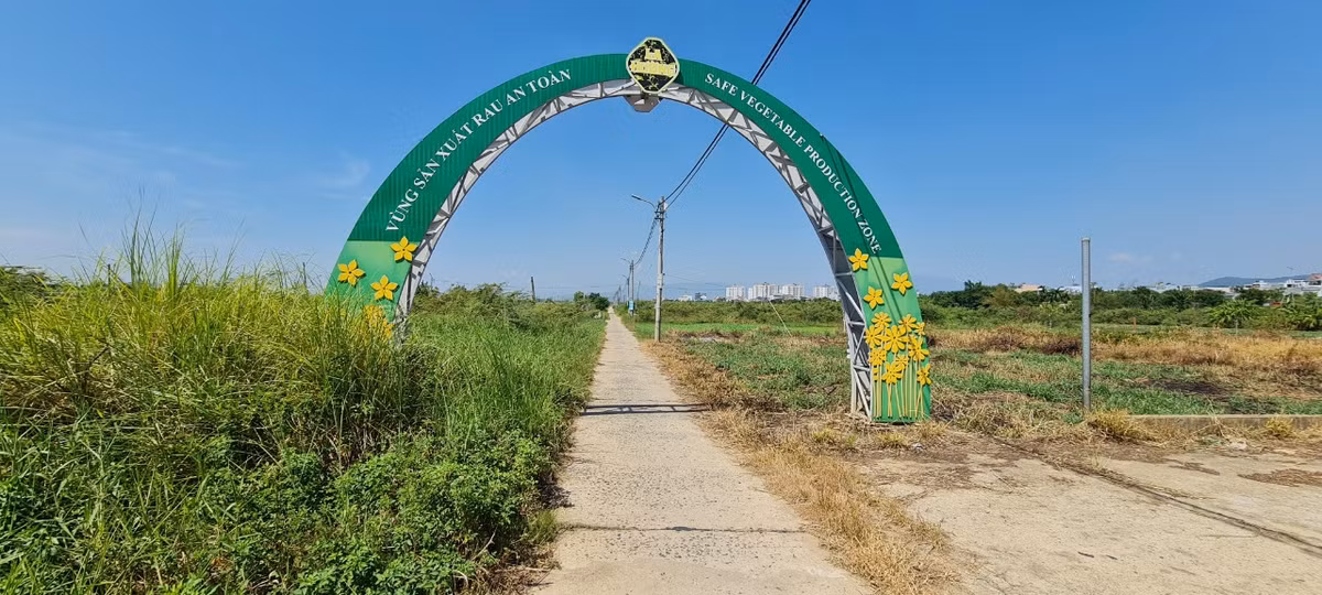 Nuoc nhiem man, lang rau sach lon nhat Da Nang xo xac cho mua