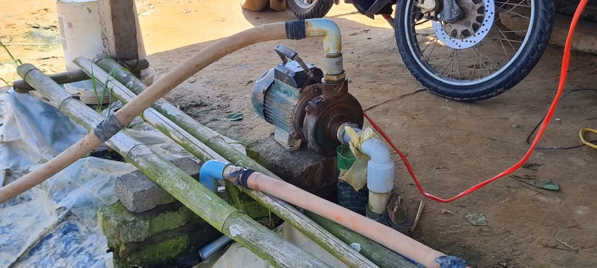 Do nước sông Cẩm Lệ liên tục nhiễm mặn, các hộ trồng rau phải sử dụng nước giếng khoan để tưới tiêu. Thế nhưng, nhiều nông dân tại đây cho biết, nước giếng lại nhiễm phèn, nhiễm lợ khiến cây trồng khó phát triển.