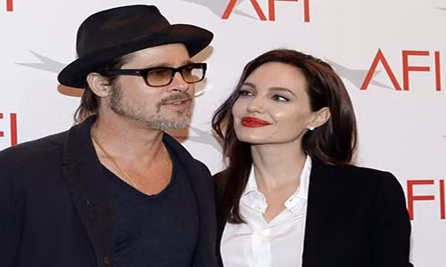 14 ly do khien Angelina Jolie ly hon voi Brad Pitt-Hinh-4