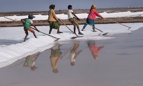 Một gia đình Agariya đang làm việc ở ruộng muối Rann of Kutch. Những đứa trẻ Agariya thường bắt đầu làm ở ruộng muối này từ năm 10 tuổi.