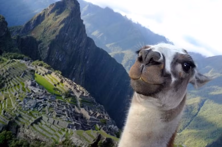 Trải nghiệm chuyến đi Inca Trail truyền thống kéo dài khoảng 4 đến 5 ngày tới Manchu Picchu ở Peru. Trong suốt chặng đường đi, bạn có thể chiêm ngưỡng phong cảnh tuyệt đẹp và thanh bình nơi đây.
