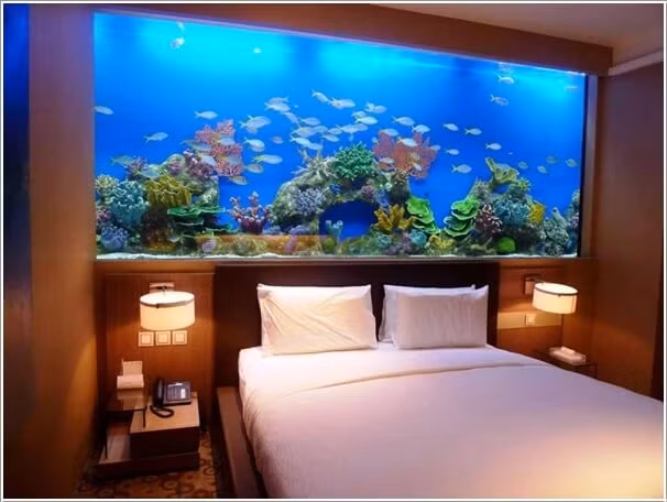 Bể cá trang trí phòng ngủ.