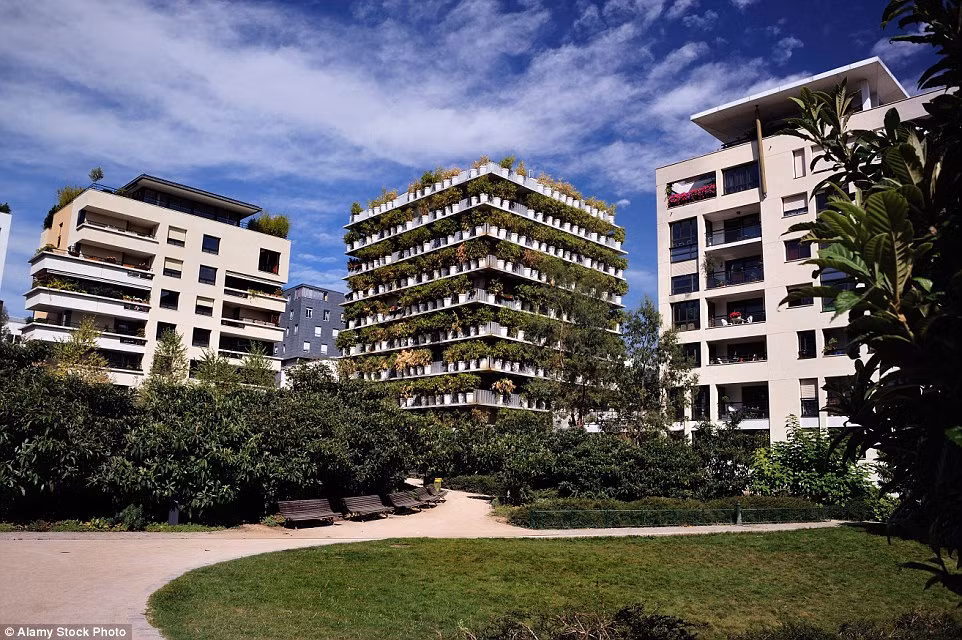 Kiến trúc sư Edouard Francois chính là người đưa ra ý tưởng bao phủ ba mặt của khu chung cư xanh Flower Tower bằng cây trúc.