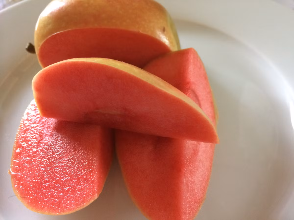 Do có màu sắc bắt mắt, giống táo này được nhiều người tiêu dùng ưa chuộng.