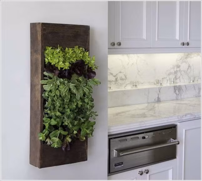 Nhà bếp được tô điểm bằng vườn rau thơm treo thẳng đứng.