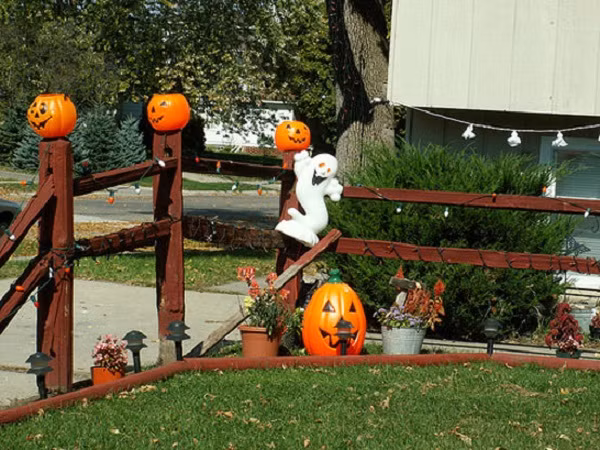 Bạn có thể dùng bí ngô Halloween trang trí vườn rào.