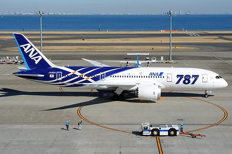 Sự sát nhập này đã góp phần nâng tổng số vốn của All Nippon Airways từ 150 triệu yên lên đến 600 triệu yên và thúc đẩy mạnh mẽ sự phát triển của hãng để trở thành hãng hàng không lớn thứ hai tại Nhật Bản.