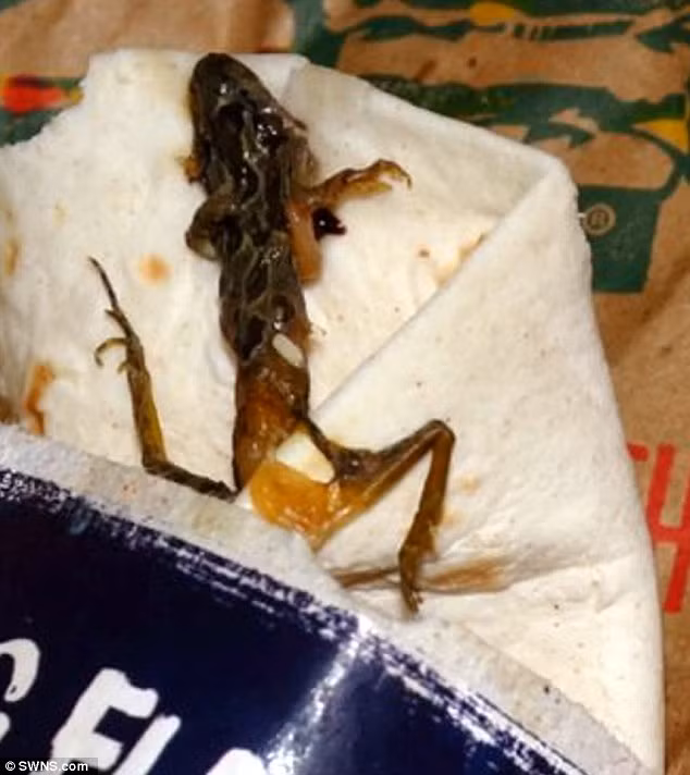 Soc: Ech chet thoi trong do an cua McDonald’s
