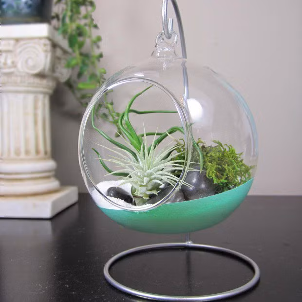 Một số mẫu chậu hoa để bàn ấn tượng bạn có thể dùng để trang trí nhà cửa đón Tết: