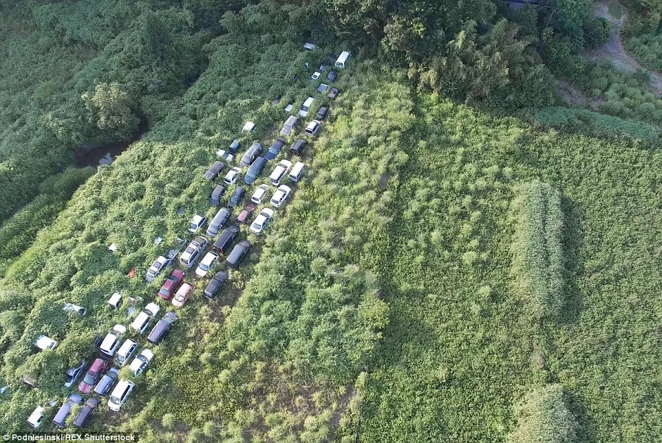  Nghĩa địa ô tô này đã bị bao phủ trong rừng cây từ sau vụ nổ nhà máy điện hạt nhân Fukushima.