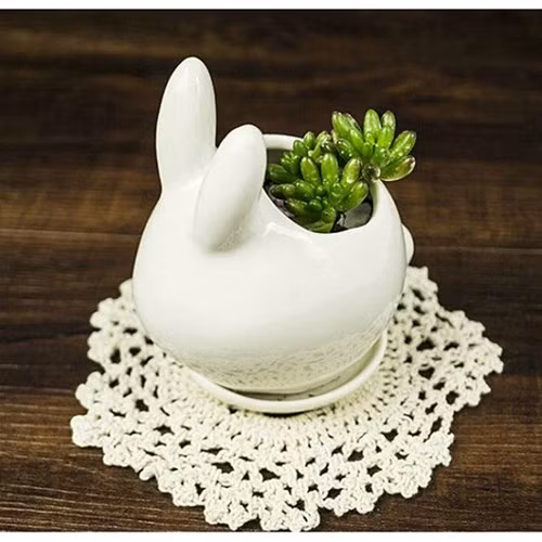 Những chậu hoa nhỏ xinh trang trí nhà trông thật dễ thương.