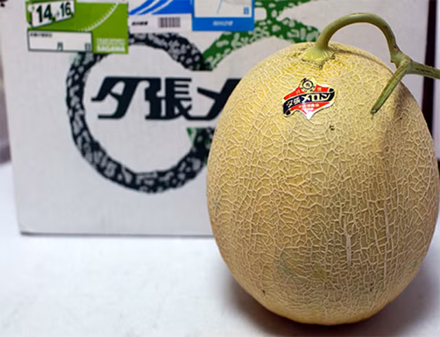 Một cặp dưa lưới vàng Yubari King của Nhật Bản từng được rao bán trên mạng Internet với giá 23.500 USD (tương đương 490 triệu đồng) và được coi là loại trái cây đắt tiền nhất thế giới.