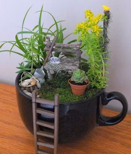 Với những cây hoa đá, rêu cùng vật trang trí bé xíu, bạn có thể tự làm vườn hoa mini trong một cái chậu tuyệt đẹp để trang trí cho ngôi nhà.