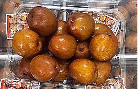 Giống táo dại Hàn Quốc...là một trong những loại quả độc lạ từng gây sốt thị trường tiêu dùng Việt Nam trong năm qua.