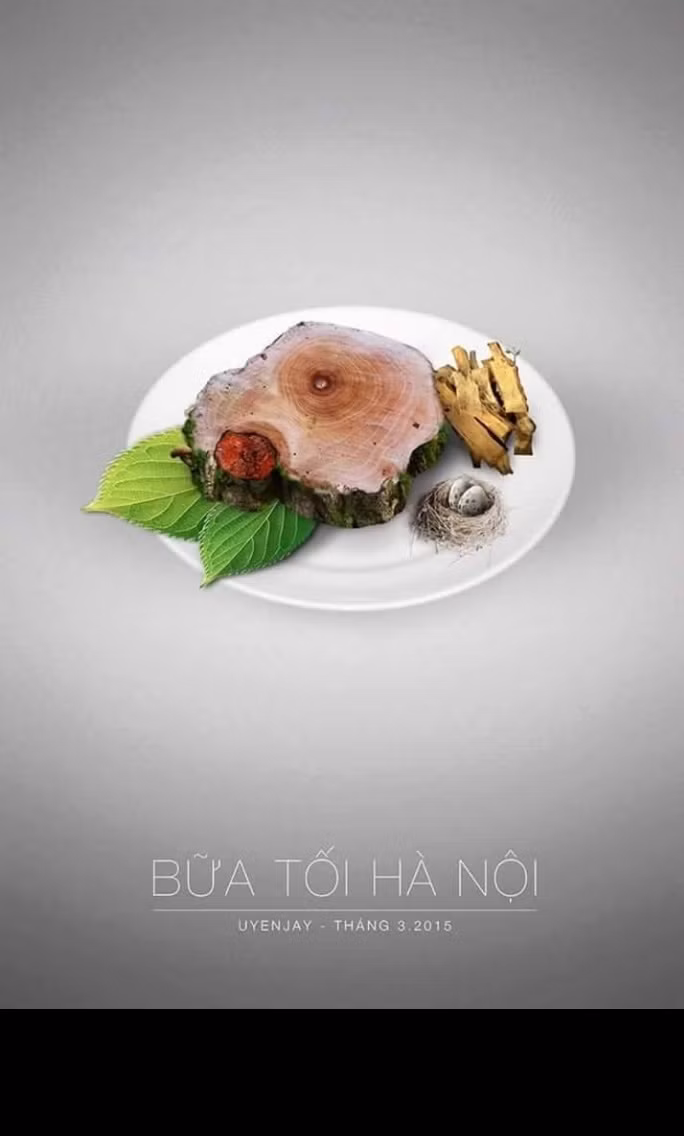 Dù lãnh đạo thành phố đã giải thích rằng, việc chặt cây là để thay cây mới tốt hơn, đẹp và an toàn hơn, nhưng cư dân mạng vẫn lo lắng, tiếc và buồn.
