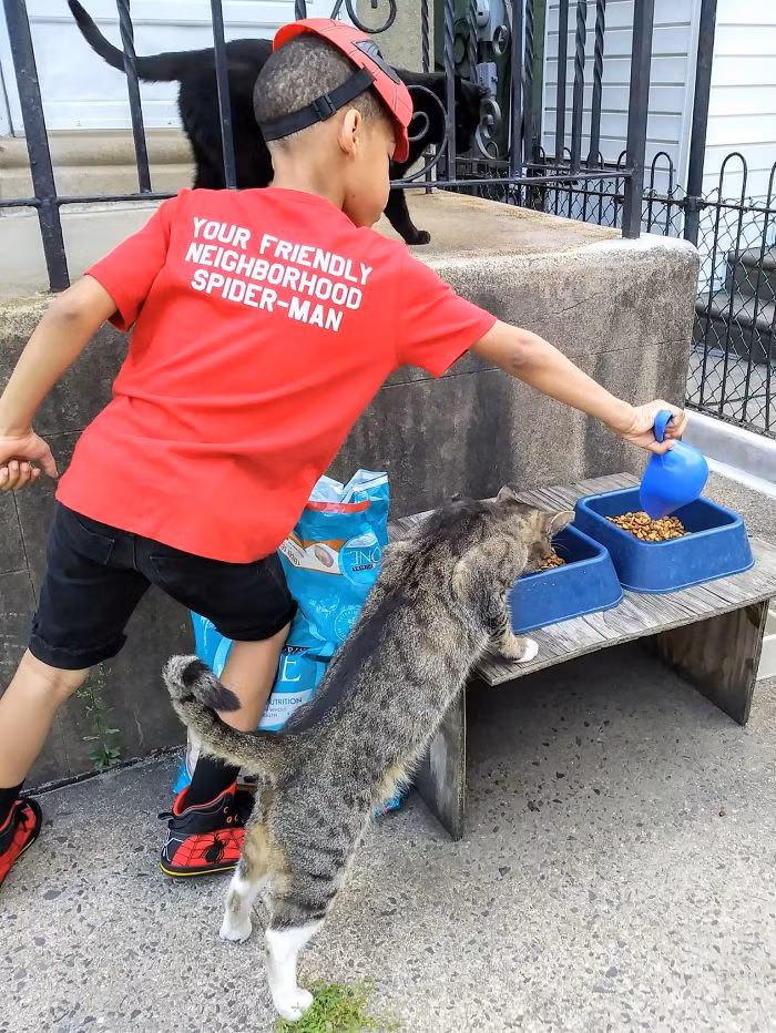 Dường như Shon có một khả năng kỳ lạ, thu hút và cảm hóa những con mèo. Nhiều người nói Shon có "siêu khả năng" vì ngay cả những con mèo không thân thiện nhất cũng không thể chống cự lại được sức hút của cậu bé. (Nguồn Bored Panda)