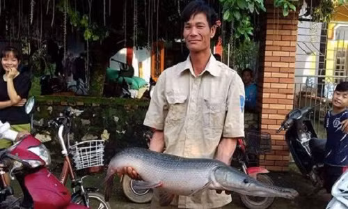 Kham pha ve ca sau hoa tien dan bat duoc sau mua lu