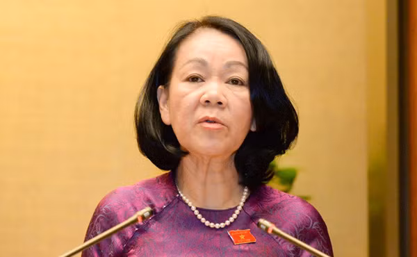 Bà Trương Thị Mai sinh năm 1958, quê Quảng Bình, từng giữ chức vụ: Bí thư Trung ương Đoàn; Chủ tịch Hội Liên hiệp Thanh niên Việt Nam; Phó Chủ nhiệm Ủy ban văn hóa, giáo dục, thanh niên, thiếu niên và nhi đồng; Chủ nhiệm Ủy ban về các vấn đề xã hội của Quốc hội.
