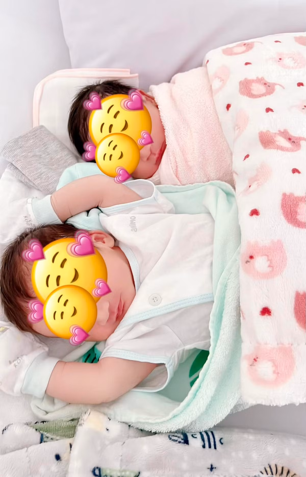 Mới đây, trên trang fanpage lập riêng cho cặp song sinh 1 trai 1 gái Ka Ka và Muội Muội, diễn viên Hà Trí Quang và người yêu đồng giới là nam ca sĩ Thanh Đoàn khoe ảnh cận mặt hai con mới chào đời được 6 ngày tuổi khiến fan "chết mê".