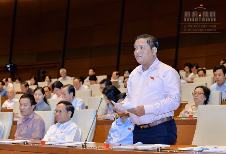 Đại biểu Đặng Hoàng Tuấn (Long An).