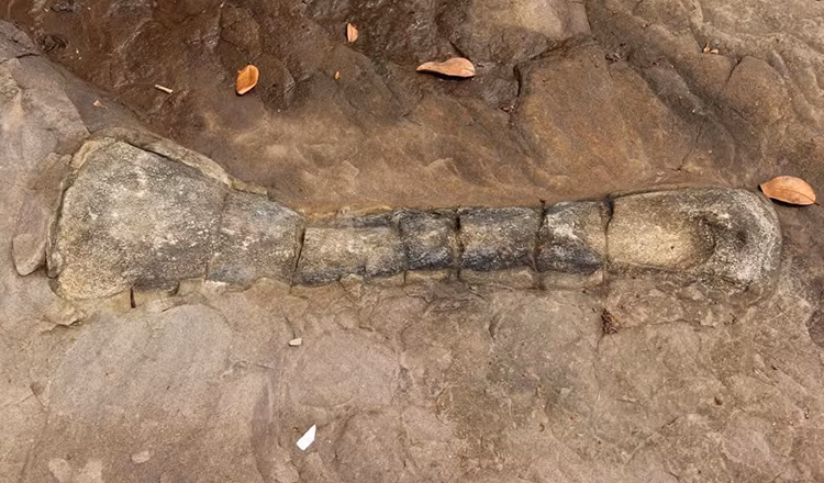 Vào tháng 3/2021, một hóa thạch khủng long được khai quật tại làng Koh Por, thuộc xã Bak Khlang, huyện Mondul Seima của tỉnh Koh Kong ở phía tây nam Campuchia. Đây là hóa thạch khủng long đầu tiên được phát hiện tại quốc gia này.
