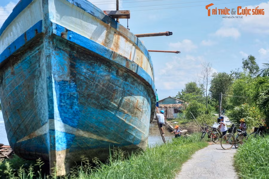2. Những con thuyền to lớn nằm ven đường là hình ảnh gây bất ngờ với những vị khách đến từ phương xa, nhưng lại là chuyện thường ngày với cư dân vùng đồng bằng sông Cửu Long. Đây cũng là một nét đặc trưng của đời sống vùng sông nước.