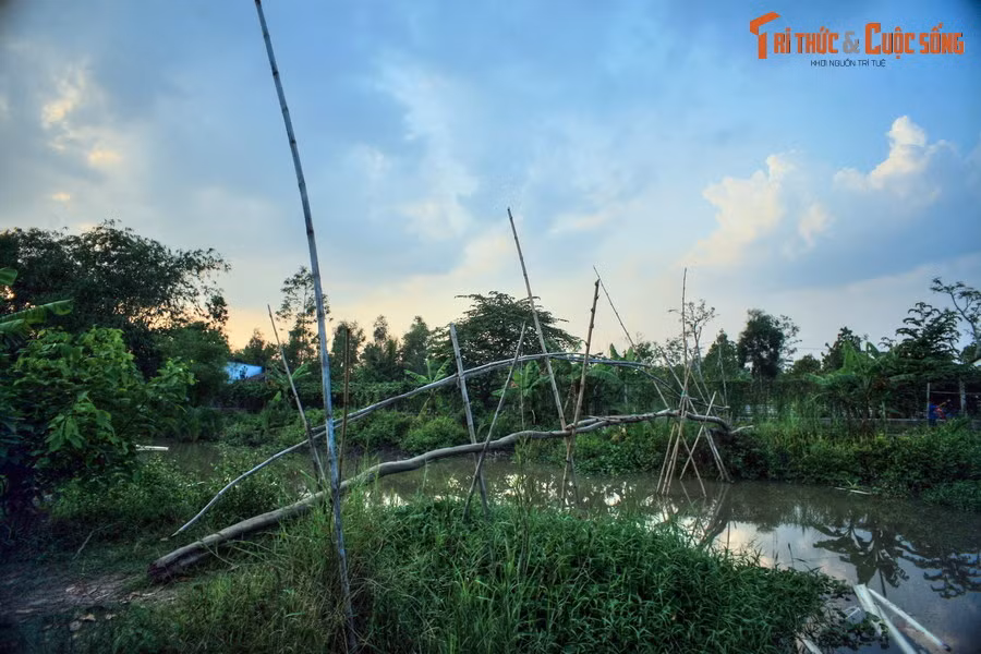 1. Cầu khỉ là tên gọi dân dã của một loại cầu rất đơn giản, thường làm bằng tre hoặc các loại gỗ rẻ tiền... bắc qua kênh rạch để cho người qua lại. Có thể bắt gặp những cây cầu như vậy trên khắp các cung đường miền Tây Nam Bộ, nơi có hệ thống kênh rạch chằng chịt tỏa đi khắp các xóm làng.